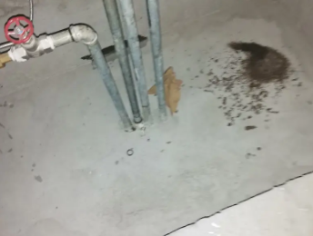 云浮卫生间测漏水价格明细